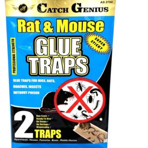 MOUSE GLUE BOARD SM2PK (48)