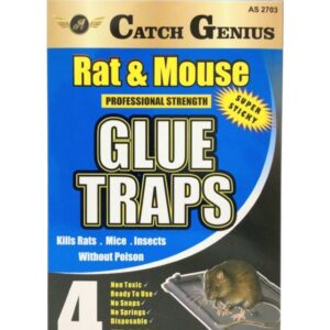 MOUSE GLUE TRAY SMAL 4PK(48)