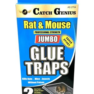 MOUSE GLUE TRAY LARG 2PK (48)